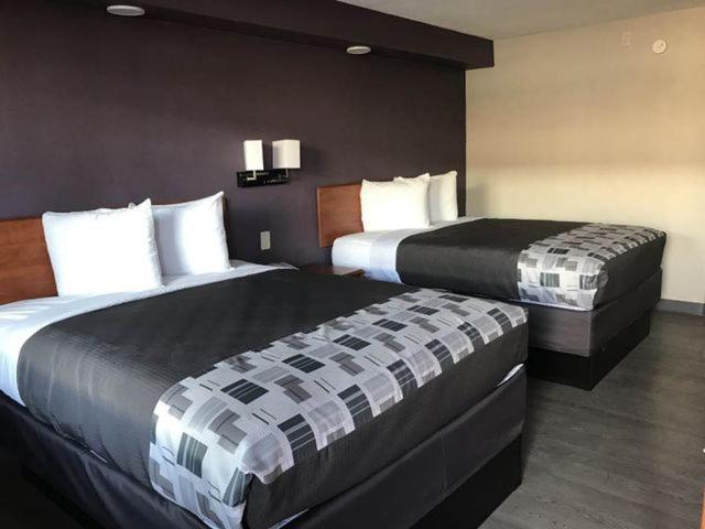 Executive Inn Kingsville Εξωτερικό φωτογραφία